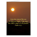Early Dawn Late June cards