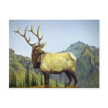 Early morning mist, Elk Postcard