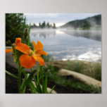 Early Morning Mist posters
