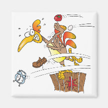 early morning rooster attack magnets