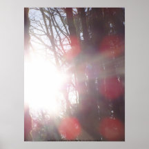 Early Morning Sun Rays #28 Posters