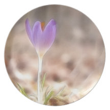 Early Spring Crocus Flower Party Plate
