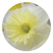 Early Spring Daffodil Party Plate