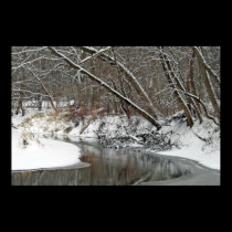 Early Winter At Petrifying Springs posters