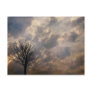 Early Winter Tranquillity Postcards