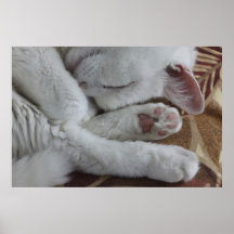 Ears, Nose and Toes Print