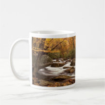 Earth Day Waterfall Mug