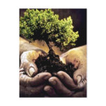 Earth Hands postcards