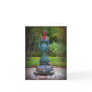 earth on a turtles back greeting card