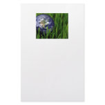 Earth Paper Customized Stationery