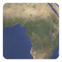 Earth showing landcover over Africa Square Stickers