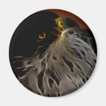 Earth to sky eagle refrigerator magnet
