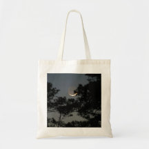 Earthshine Moon Canvas Bags