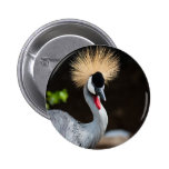 East African Crowned Crane Pin