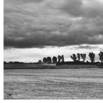 East Anglian Farmland Stretched Canvas Print