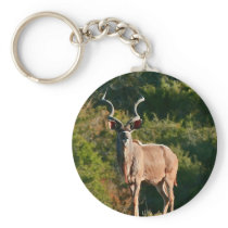 East Cape Kudu key chain