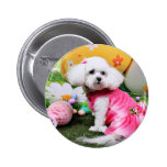 Easter - Bichon Frise - Mia Buttons