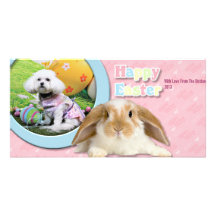 Easter - Bichon Frise - Mia Photo Card