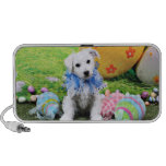 Easter - Bichon Frise X - Sammy Speakers