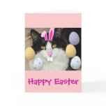 Easter Black & White Cat cards