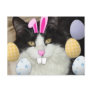 Easter Black & White Cat Post Card