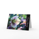 Easter Blessings ~ Lenten Rose Greeting Card