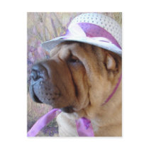 Easter Bonnet Postcards