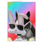 Easter Boston 2 Cards