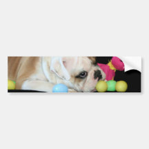 Easter Bulldog bumper sticker