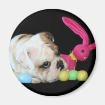 Easter Bulldog magnet