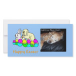 Easter Bunnies photo cards