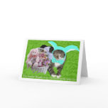 Easter Bunny Kitty cards