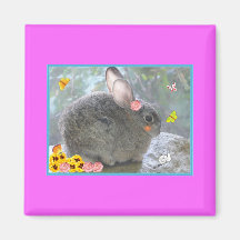 Easter bunny magnet