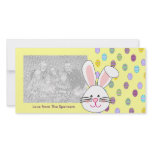 Easter Bunny Photo Cards photo cards