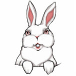 Easter Bunny Rabbit Sculpture photo sculptures