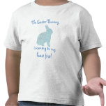 Easter Bunny t-shirts