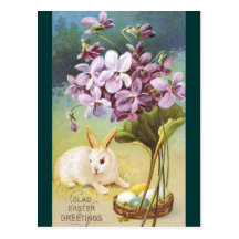 Easter Bunny & Violets Postcard