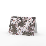 Easter Cherry Blossoms cards
