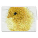 Easter Chick Card