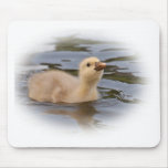 Easter Chick mousepads