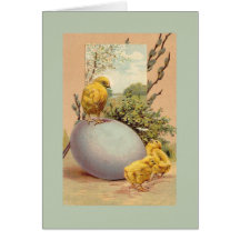 Easter - Chicks Egg PussyWillow- Antique Postcard
