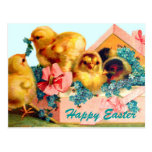 Easter Chicks Post Cards