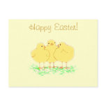 Easter Chicks postcards