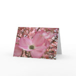 EASTER Colours Warmth Peacefulness Cards