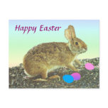 Easter Cottontail Postcard