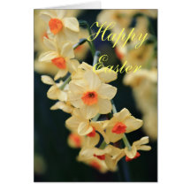 Easter Daffodil card