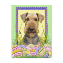 Easter Egg Cookies - Airedale Post Card