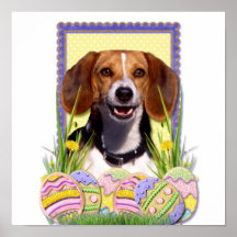Easter Egg Cookies - Beagle Posters