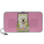 Easter Egg Cookies - Bichon Frise Travelling Speaker