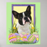 Easter Egg Cookies - Boston Terrier Print